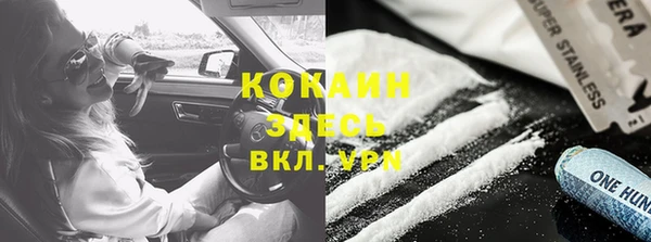 крисы Богородицк
