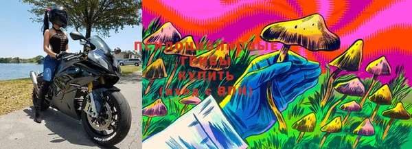 бутират Бугульма
